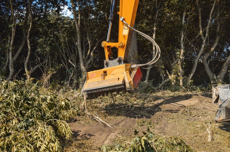 Brush Clearing Service in Utah County, UT