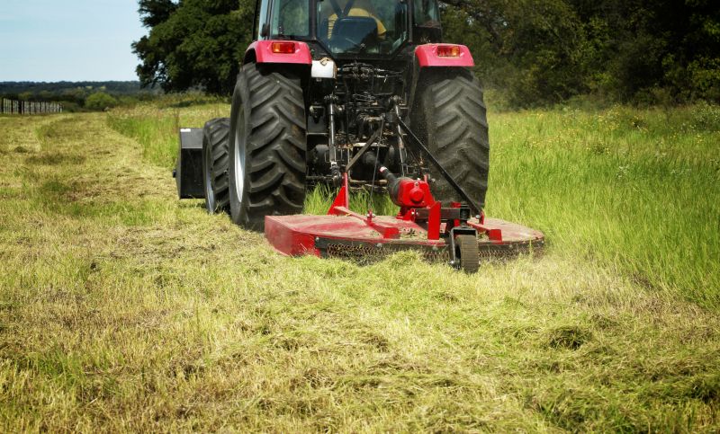 Brush Clearing Service in Utah County, UT