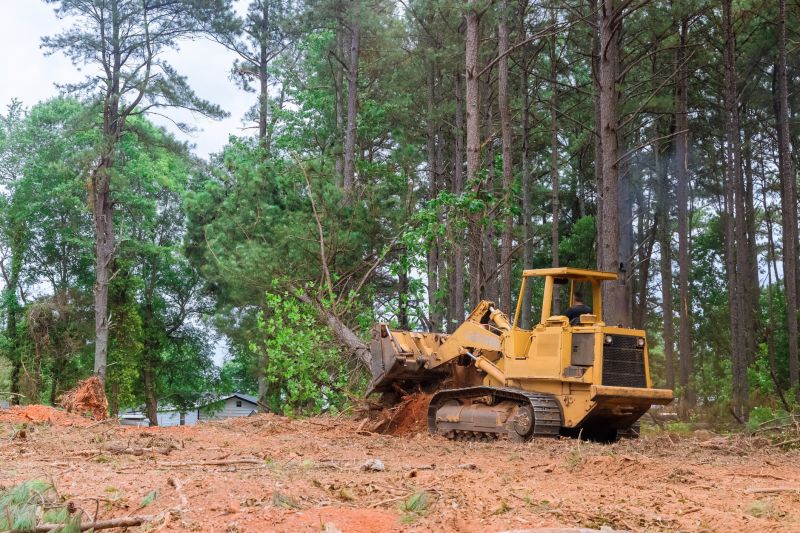 Bulldozer Clearing in Houston, TX