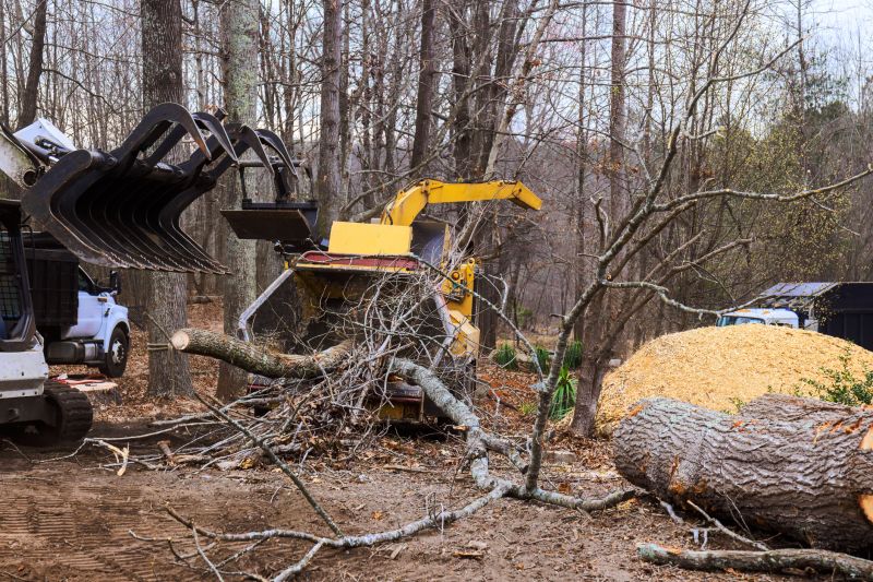 Cherry Tree Removal in Reno, NV