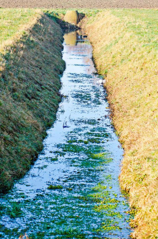 Ditch Installation in Houston, TX