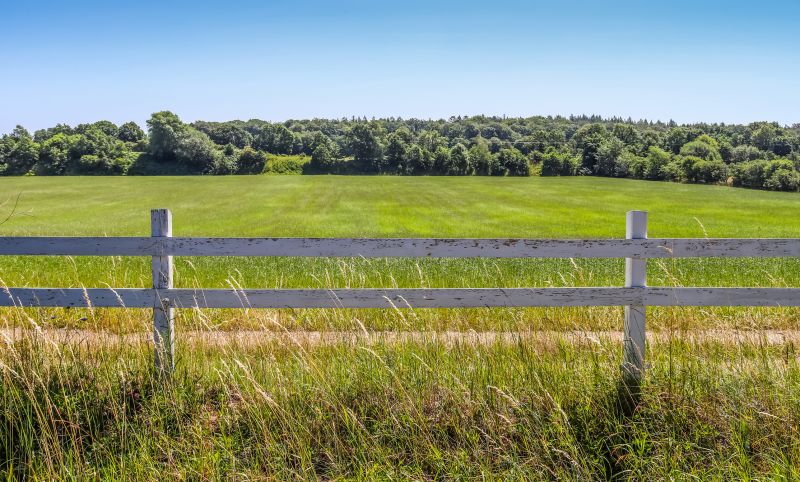 Farm Clearing in Katy, TX