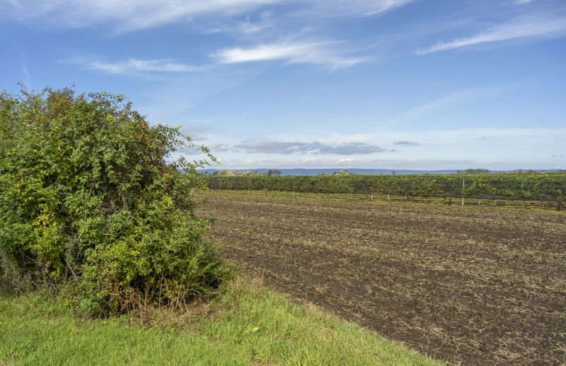 Field Clearing in Cumming, GA