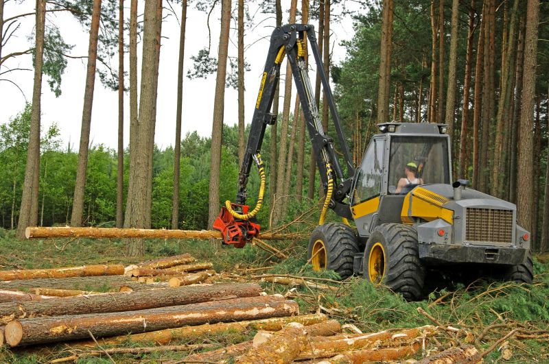 Forestry Clearing in Utah County, UT