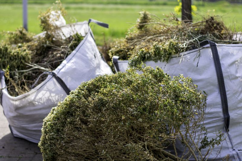 Site Cleaning in Utah County, UT