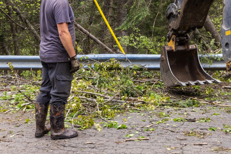 Site Cleaning in Utah County, UT