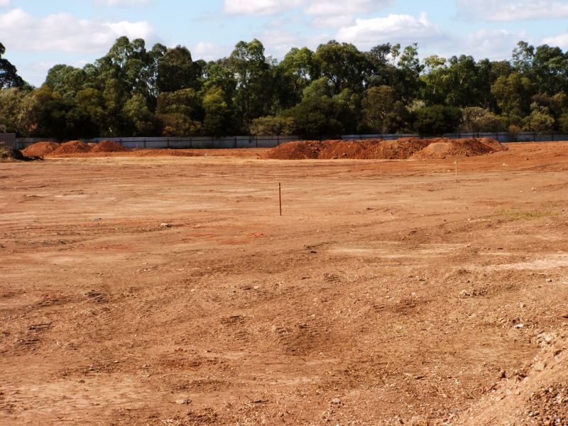 Vegetation Clearing Site Preparation